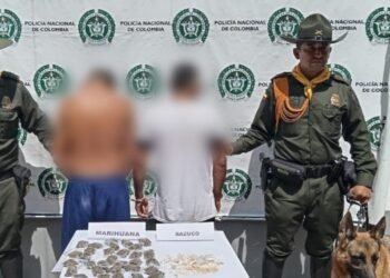 2 kg de marihuana fueron incautados en Rovira 