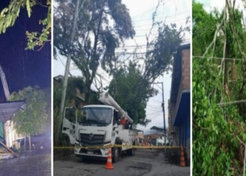 Vendavales afectan infraestructura eléctrica en el Tolima: Celsia trabaja en su recuperación