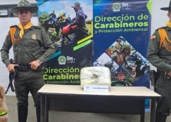 Encomienda de marihuana fue hallada por las autoridades en Ibagué 
