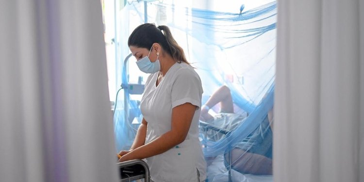 Autoridades sanitarias confirmaron otro fallecimiento de un menor de edad por dengue en Ibagué