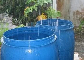 Optimizando recursos: Estrategias de conservación del agua en la temporada de lluvias