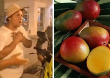 ¡Un atraco! Cobraron 100 mil pesos por cuatro mangos en Cartagena