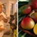 ¡Un atraco! Cobraron 100 mil pesos por cuatro mangos en Cartagena