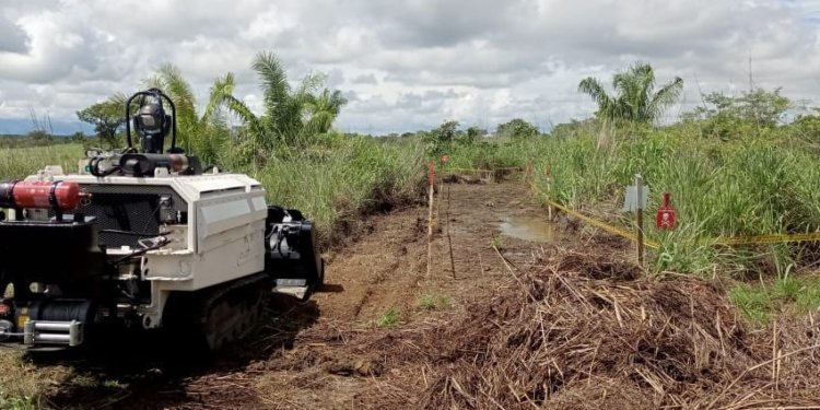 Así conmemoró el Tolima el día de la lucha contra las minas antipersona