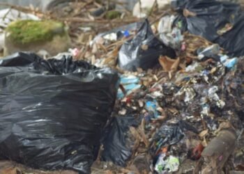 Panorama gris se encontró el Personero de Ibagué en la visita al Colegio Maximiliano Neira 