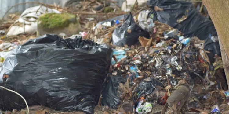 Panorama gris se encontró el Personero de Ibagué en la visita al Colegio Maximiliano Neira