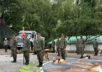 11 nuevos guías caninos antiexplosivos se graduaron en las instalaciones de la sexta brigada en Ibagué
