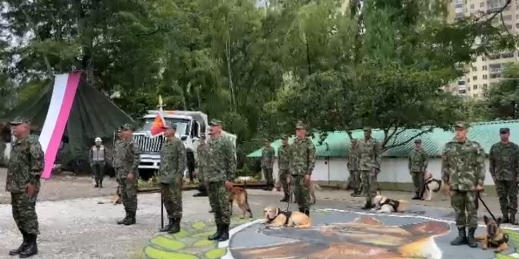 11 nuevos guías caninos antiexplosivos se graduaron en las instalaciones de la sexta brigada en Ibagué