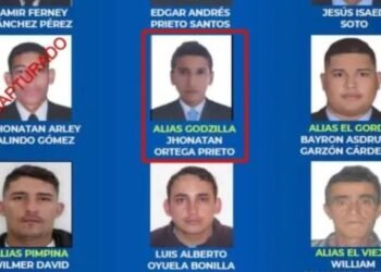 En Bogotá fue capturado alias ‘Godzilla’ presunto delincuente que tenía su accionar en Melgar