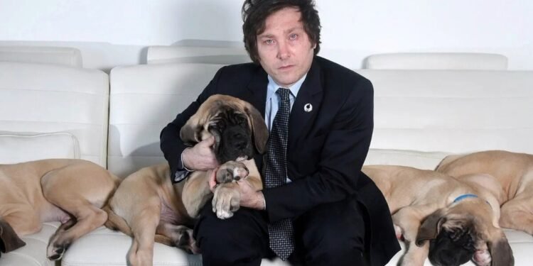 Revelan la historia detrás de la clonación de Conan, el perro de Javier Milei