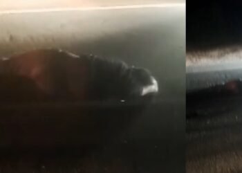 Una persona muerta en accidente de tránsito en Gualanday 