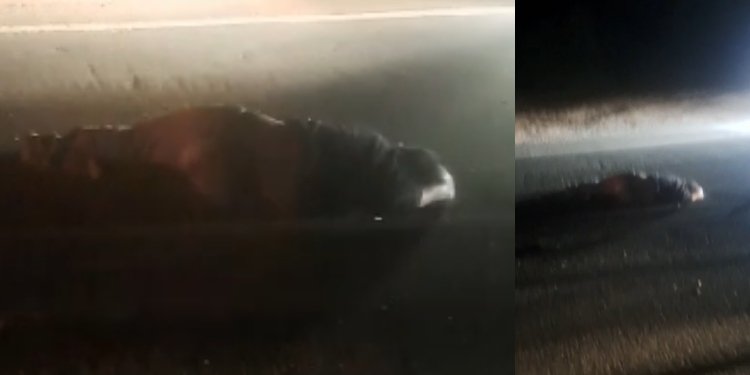 Una persona muerta en accidente de tránsito en Gualanday 