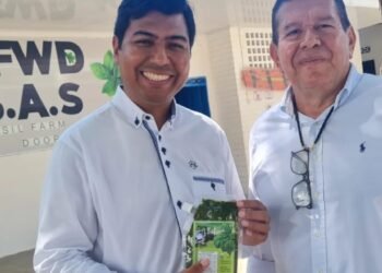 La industria de la albahaca en el Tolima se está consolidando como un importante productor 
