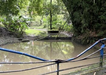 Personería continúa con la lupa puesta en el Parque Centenario 