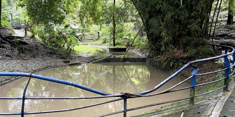 Personería continúa con la lupa puesta en el Parque Centenario 