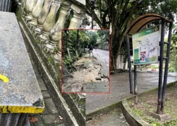 Falta de mantenimiento en los árboles y escasa iluminación encontró el Personero en la Concha Acústica de Ibagué