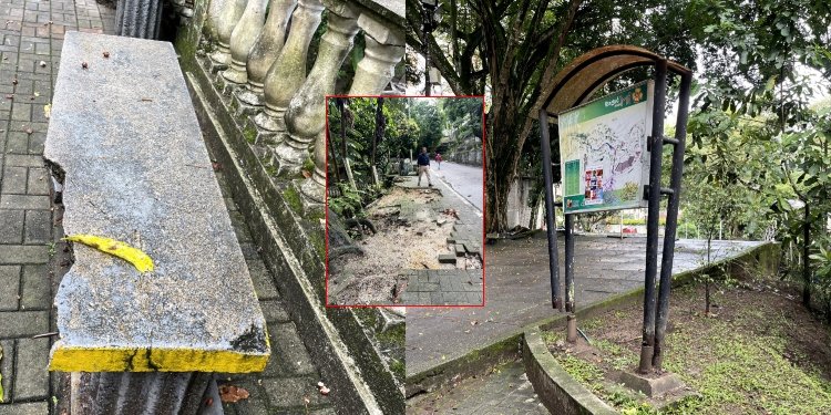 Falta de mantenimiento en los árboles y escasa iluminación encontró el Personero en la Concha Acústica de Ibagué