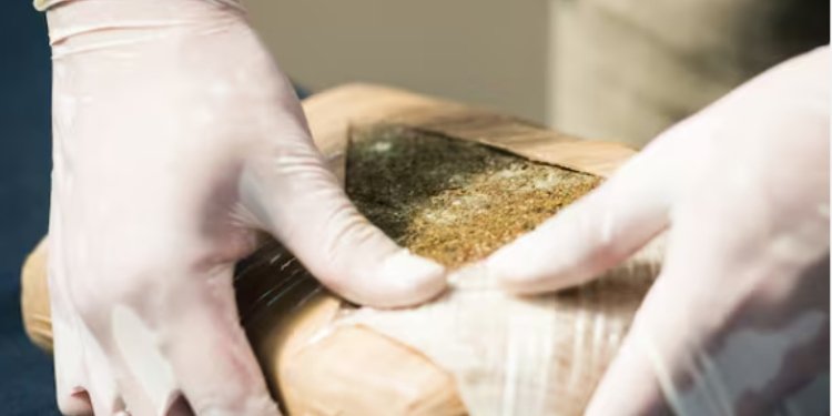 El Tolima inicia lucha frontal contra el contrabando 