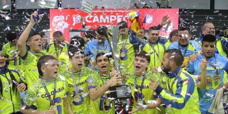 La Copa del Mundo Sub 17 llega este viernes en Ibagué