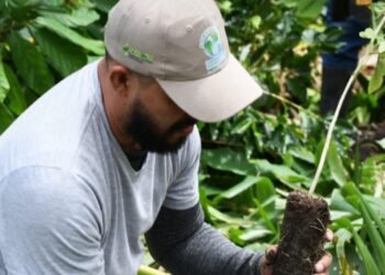 Cortolima restaura predios de Alpujarra con siembra de especies nativas