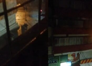 Urgente llamado hace una vecina que denuncia posible maltrato de un canino