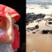 Clima extremo en todo el mundo: inundaciones mortales en Brasil y Houston, y calor récord en Asia