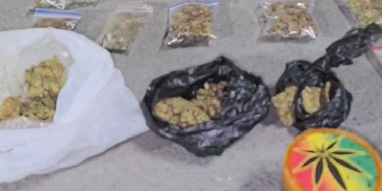 Comisión del Fútbol en Ibagué sancionó a la barra Holocausto Norte del Once Caldas 