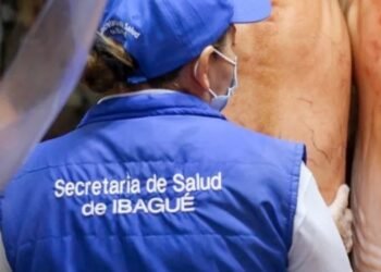 Secretaría de Salud Municipal seguirá haciendo visitas a establecimientos de comidas en Ibagué