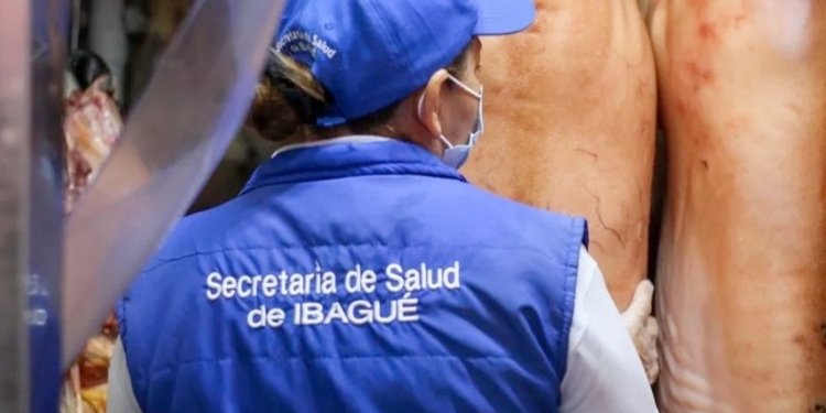 Secretaría de Salud Municipal seguirá haciendo visitas a establecimientos de comidas en Ibagué