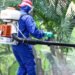 Fumigación contra mosquito transmisor ha llegado a 34 barrios de Ibagué