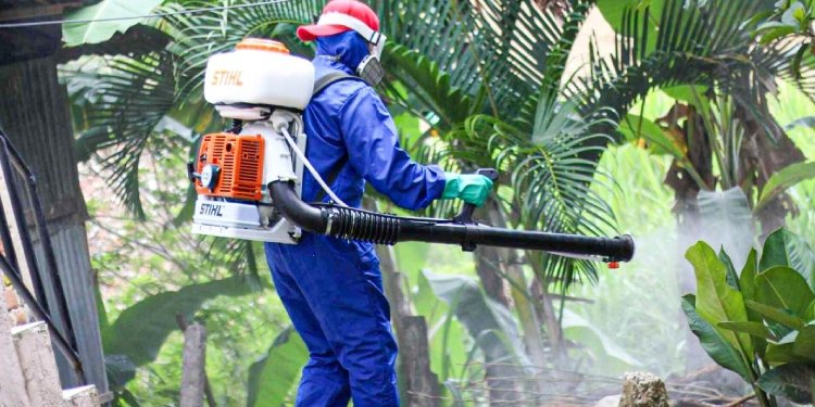 Fumigación contra mosquito transmisor ha llegado a 34 barrios de Ibagué