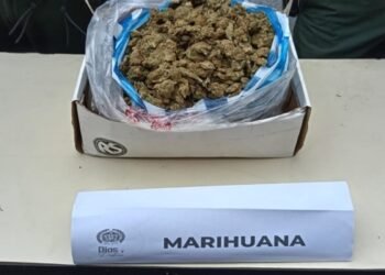 Interceptaron encomienda de marihuana que iba rumbo a Palocabildo