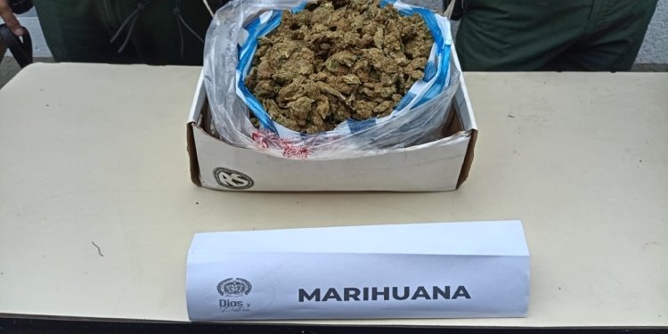 Interceptaron encomienda de marihuana que iba rumbo a Palocabildo