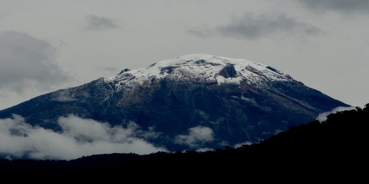 Razones por las que los tolimenses se enorgullecen de su tierra
