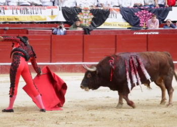 Suspensión de votación del proyecto de ley que prohíbe corridas de toros en Colombia