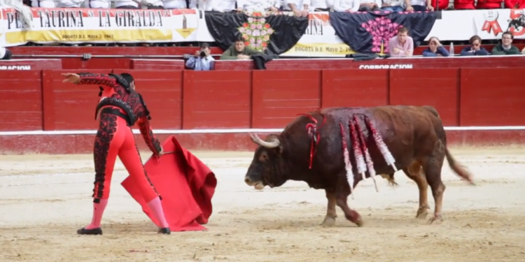 Suspensión de votación del proyecto de ley que prohíbe corridas de toros en Colombia