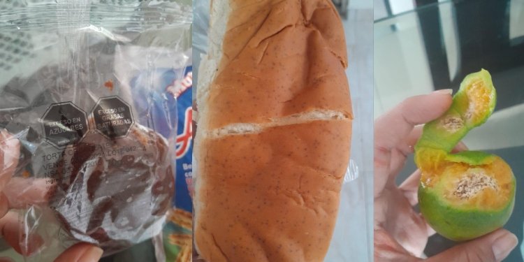 Secretaría de Educación respondió a las denuncias del Concejal sobre el PAE