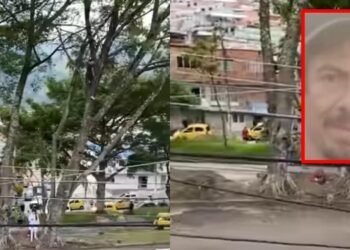 Reciclador fue hallado sin vida en un árbol