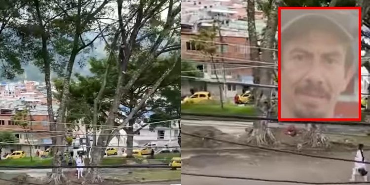 Reciclador fue hallado sin vida en un árbol