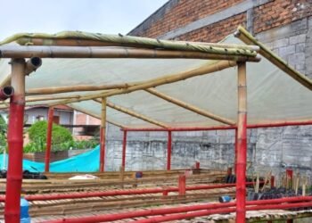 Estudiantes de ocho municipios del Tolima se beneficiarán con viveros del proyecto Expedición Arcoíris