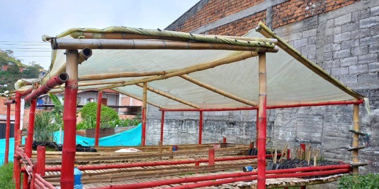 Estudiantes de ocho municipios del Tolima se beneficiarán con viveros del proyecto Expedición Arcoíris