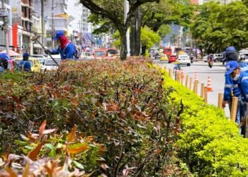 Inició el proceso de protección de los separadores de la Quinta con miras a las fiestas del folclor