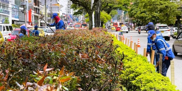 Inició el proceso de protección de los separadores de la Quinta con miras a las fiestas del folclor