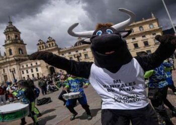 Cámara de Representantes de Colombia aprueba prohibición de corridas de toros