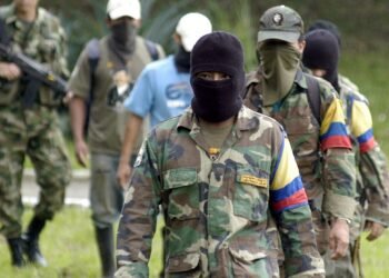 Alerta en Cali por presencia de disidencias de las FARC: Confirmaron a través de un video de Tik tok