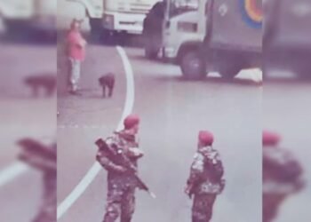 En el Tolima se debe levantar ese al fuego, Gobernadora Matiz