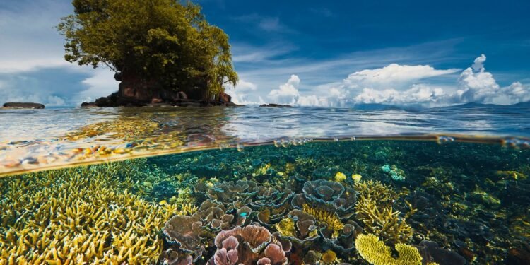 Día de la Diversidad Biológica: Cortolima hace un llamado a proteger la biodiversidad