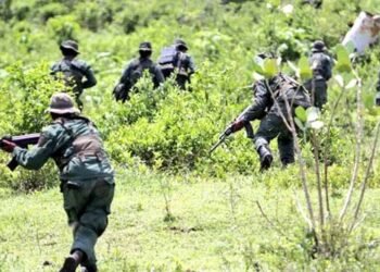 Combates en Cauca confinan a más de 2 mil personas y dejan a una comunera herida