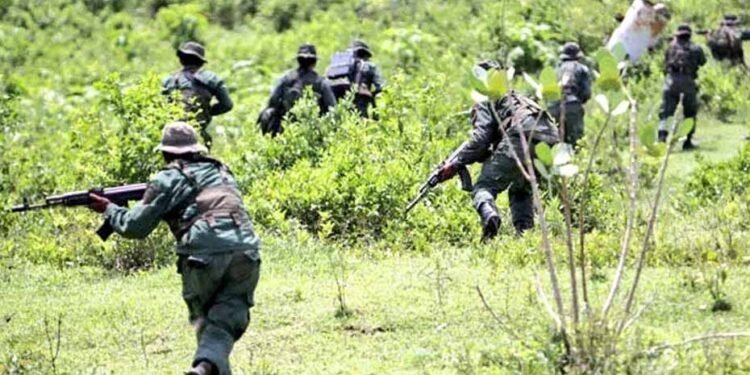 Combates en Cauca confinan a más de 2 mil personas y dejan a una comunera herida