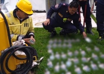 Bogotá: ¡Qué creatividad! Dentro de un extintor pretendían ingresar 99 botellas de aguardiente en concierto